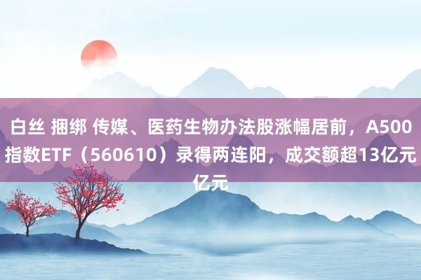 白丝 捆绑 传媒、医药生物办法股涨幅居前，A500指数ETF（560610）录得两连阳，成交额超13亿元