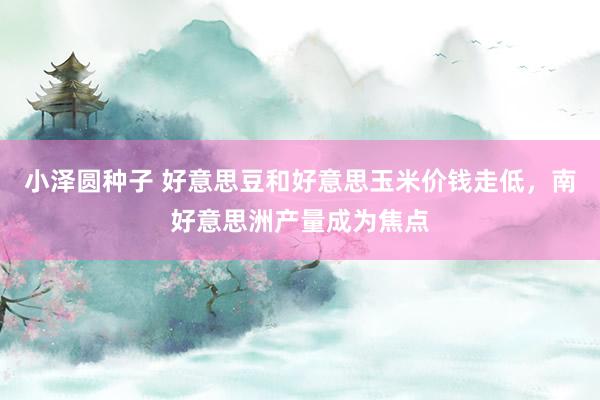 小泽圆种子 好意思豆和好意思玉米价钱走低，南好意思洲产量成为焦点