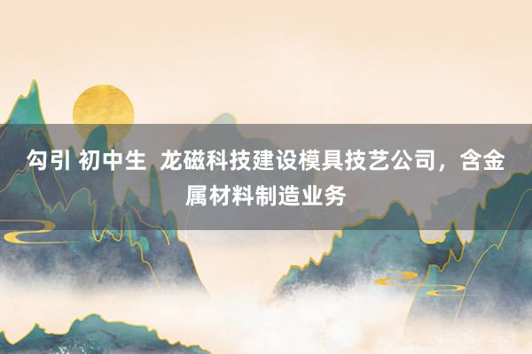 勾引 初中生  龙磁科技建设模具技艺公司，含金属材料制造业务