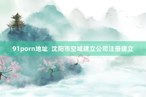 91porn地址  沈阳市空域建立公司注册建立