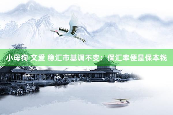 小母狗 文爱 稳汇市基调不变：保汇率便是保本钱
